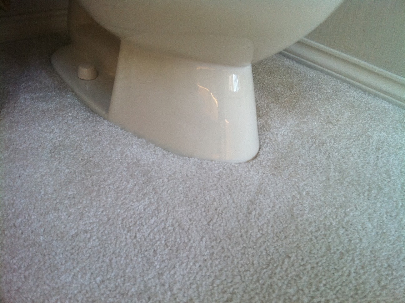 Sellers: Can We Please Talk About Carpet in the Bathroom? Get Real ...